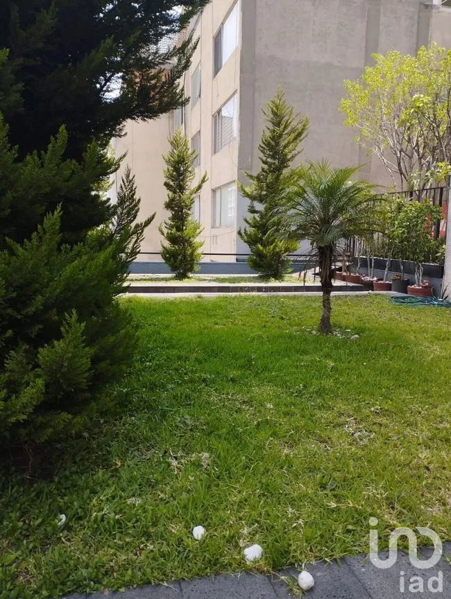 Oficina en Renta en Polanco V Sección, Miguel Hidalgo, Ciudad de México | NEX-275968 | iad México | Foto 8 de 9