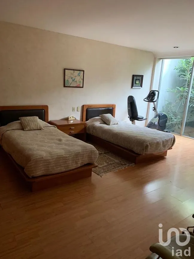 Departamento en Renta en Polanco III Sección, Miguel Hidalgo, Ciudad de México | NEX-275970 | iad México | Foto 8 de 18