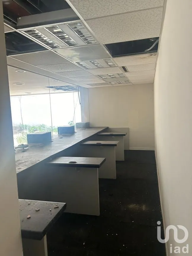 Local en Renta en Polanco V Sección, Miguel Hidalgo, Ciudad de México | NEX-276037 | iad México | Foto 11 de 12