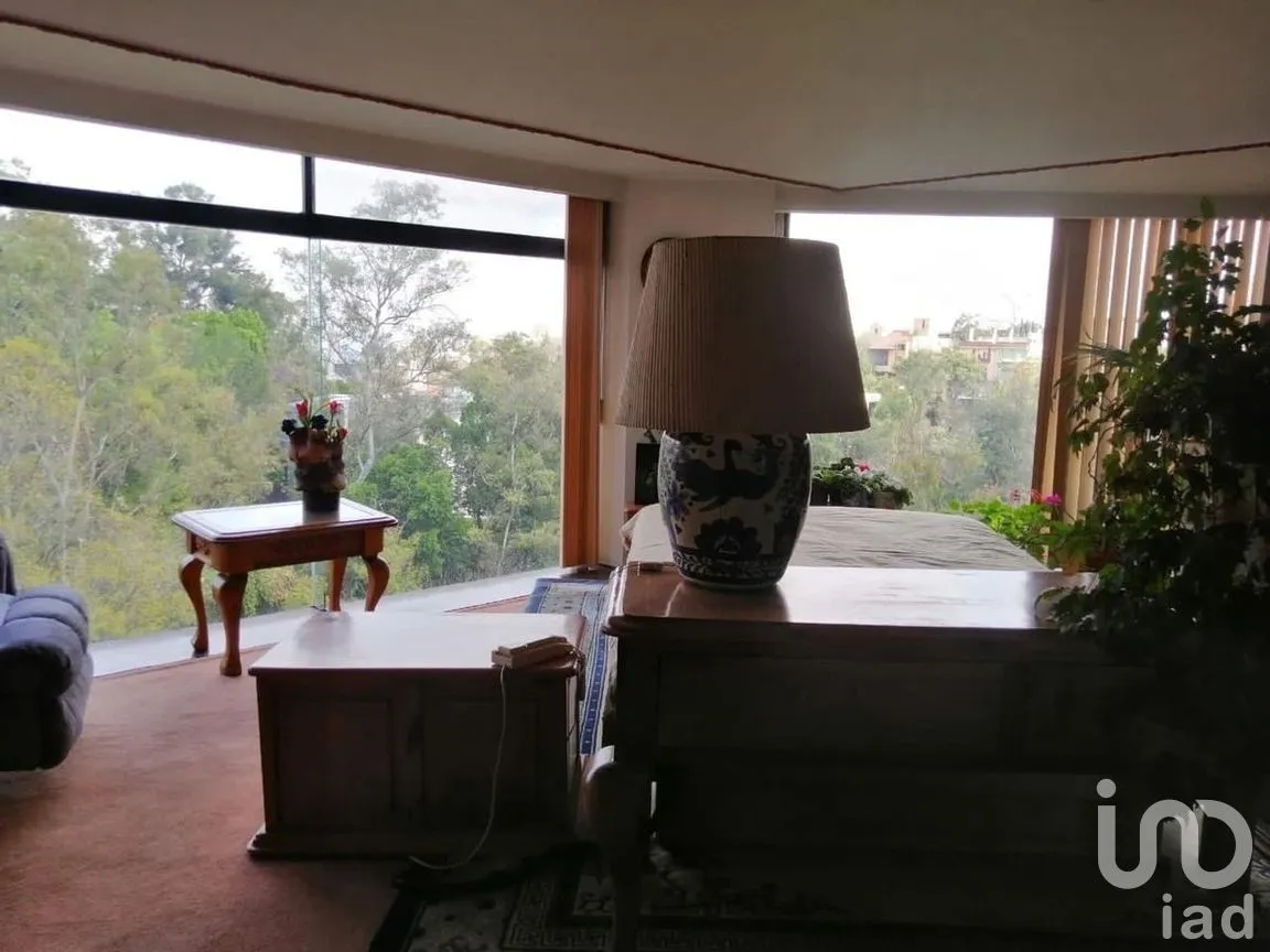 Departamento en Renta en Lomas de Chapultepec I Sección, Miguel Hidalgo, Ciudad de México | NEX-276055 | iad México | Foto 6 de 22