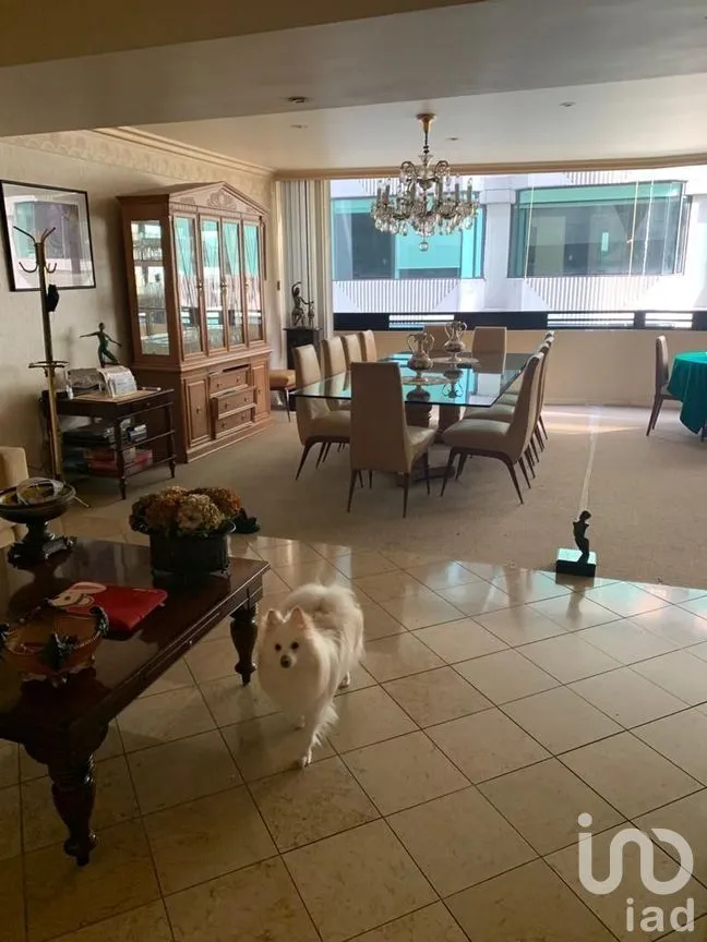 Departamento en Venta en Bosques de las Lomas, Cuajimalpa de Morelos, Ciudad de México | NEX-277382 | iad México | Foto 3 de 19