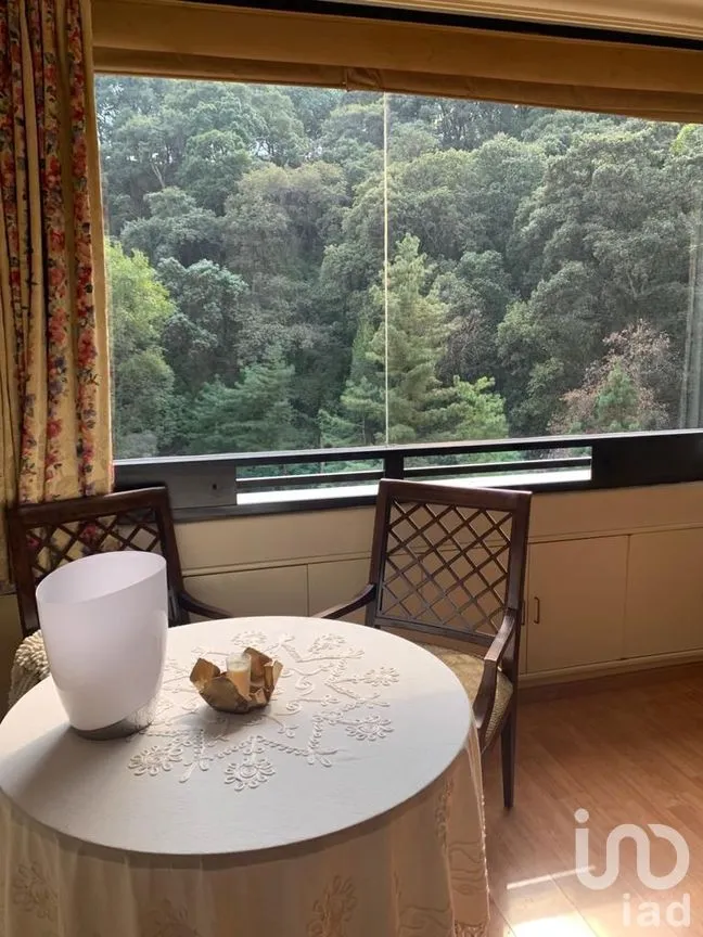Departamento en Venta en Bosques de las Lomas, Cuajimalpa de Morelos, Ciudad de México | NEX-277382 | iad México | Foto 6 de 19
