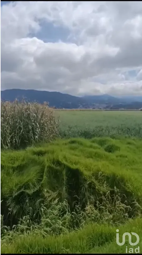 Terreno en Venta en Santa Cruz Chignahuapan, Lerma, Estado de México | NEX-282868 | iad México | Foto 4 de 5