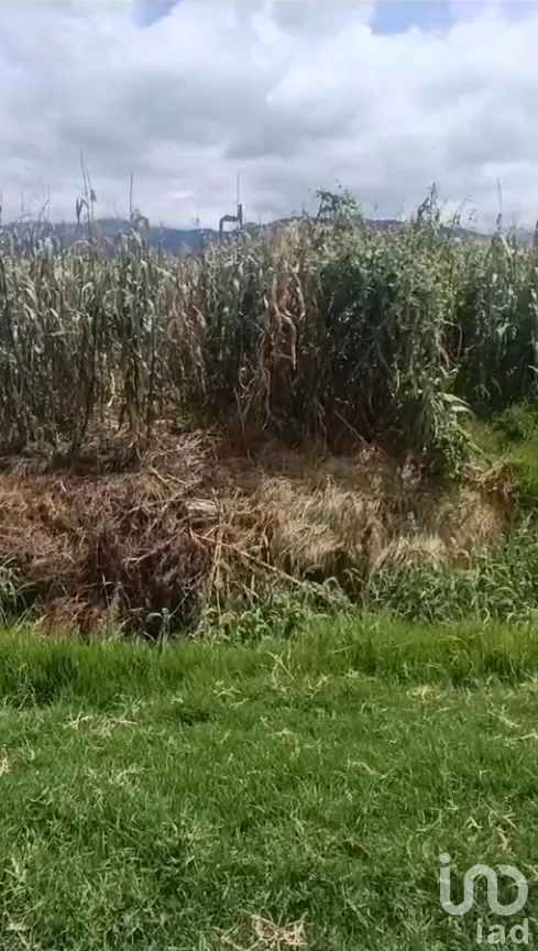 Terreno en Venta en Santa Cruz Chignahuapan, Lerma, Estado de México | NEX-282868 | iad México | Foto 5 de 5