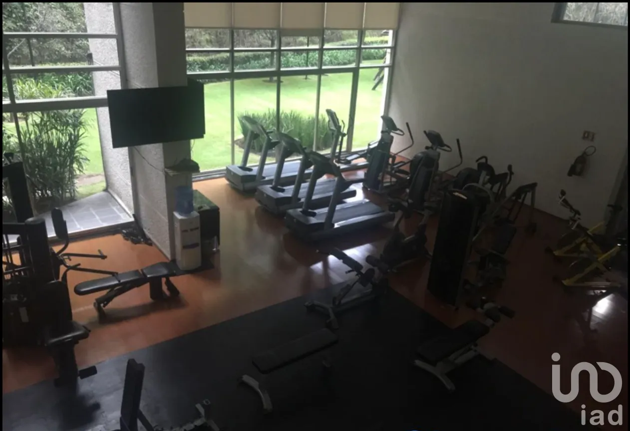Departamento en Renta en Bosques de las Lomas, Cuajimalpa de Morelos, Ciudad de México | NEX-292368 | iad México | Foto 13 de 16
