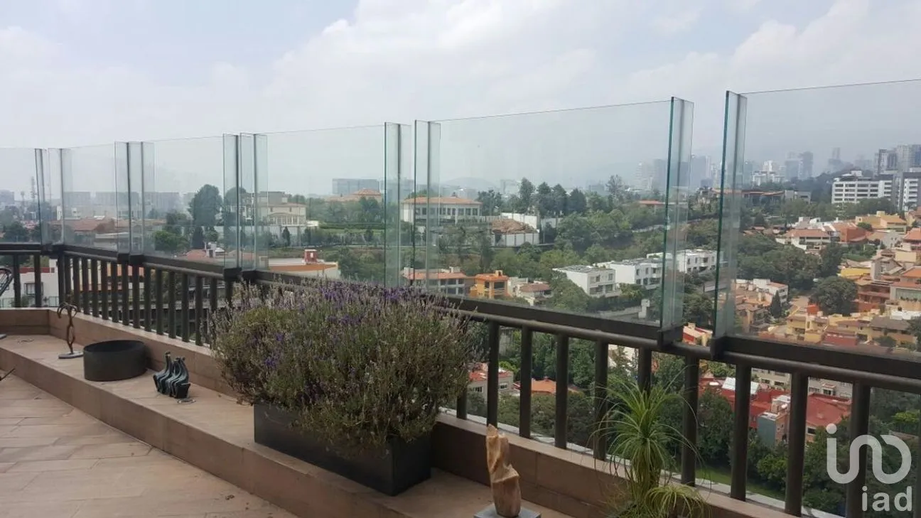 Departamento en Venta en Bosque de las Lomas, Miguel Hidalgo, Ciudad de México | NEX-293910 | iad México | Foto 3 de 30