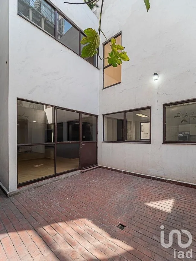 Casa en Renta en Polanco V Sección, Miguel Hidalgo, Ciudad de México | NEX-293952 | iad M éxico | Foto 31 de 34