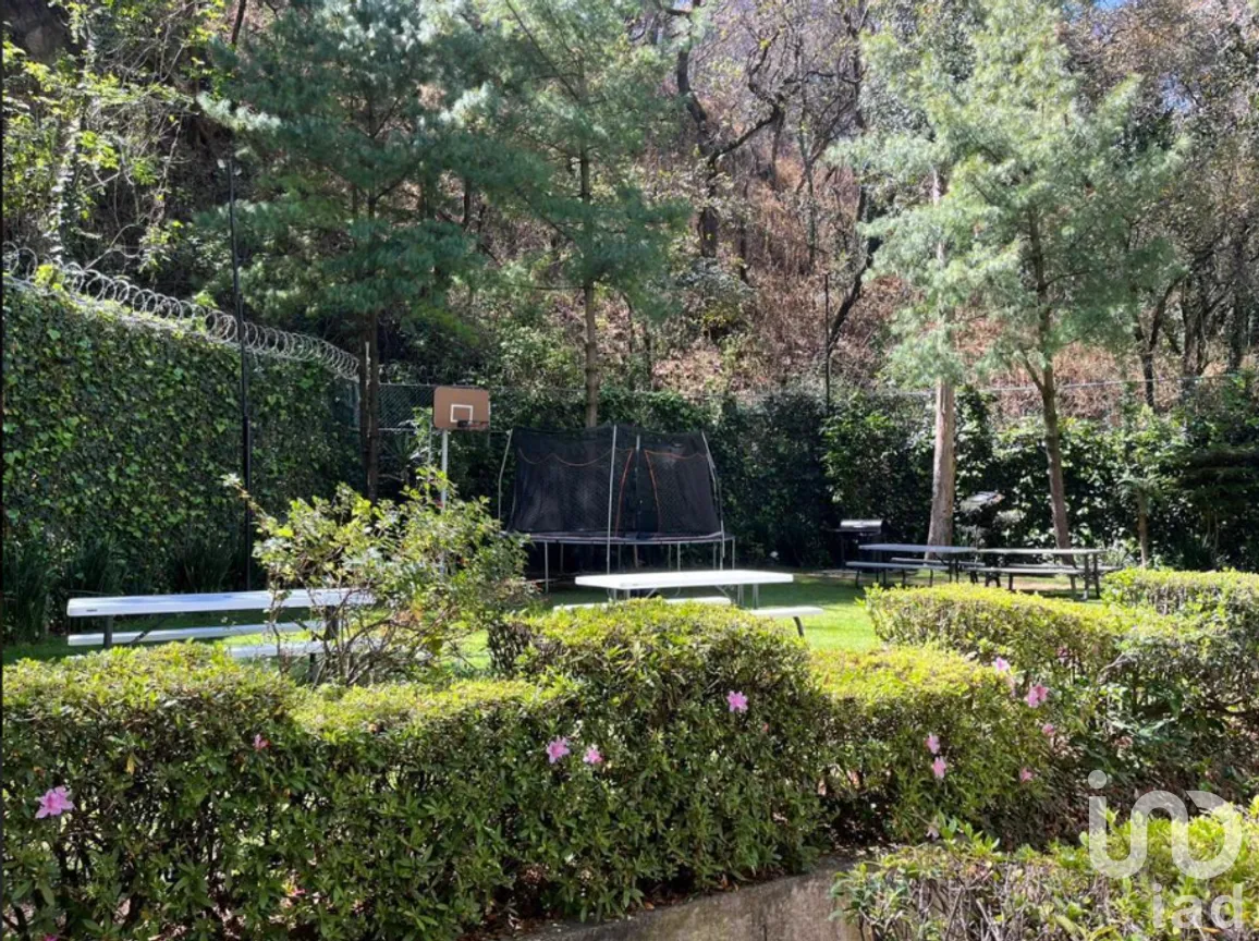 Departamento en Venta en Bosques de las Lomas, Cuajimalpa de Morelos, Ciudad de México | NEX-293957 | iad México | Foto 26 de 43