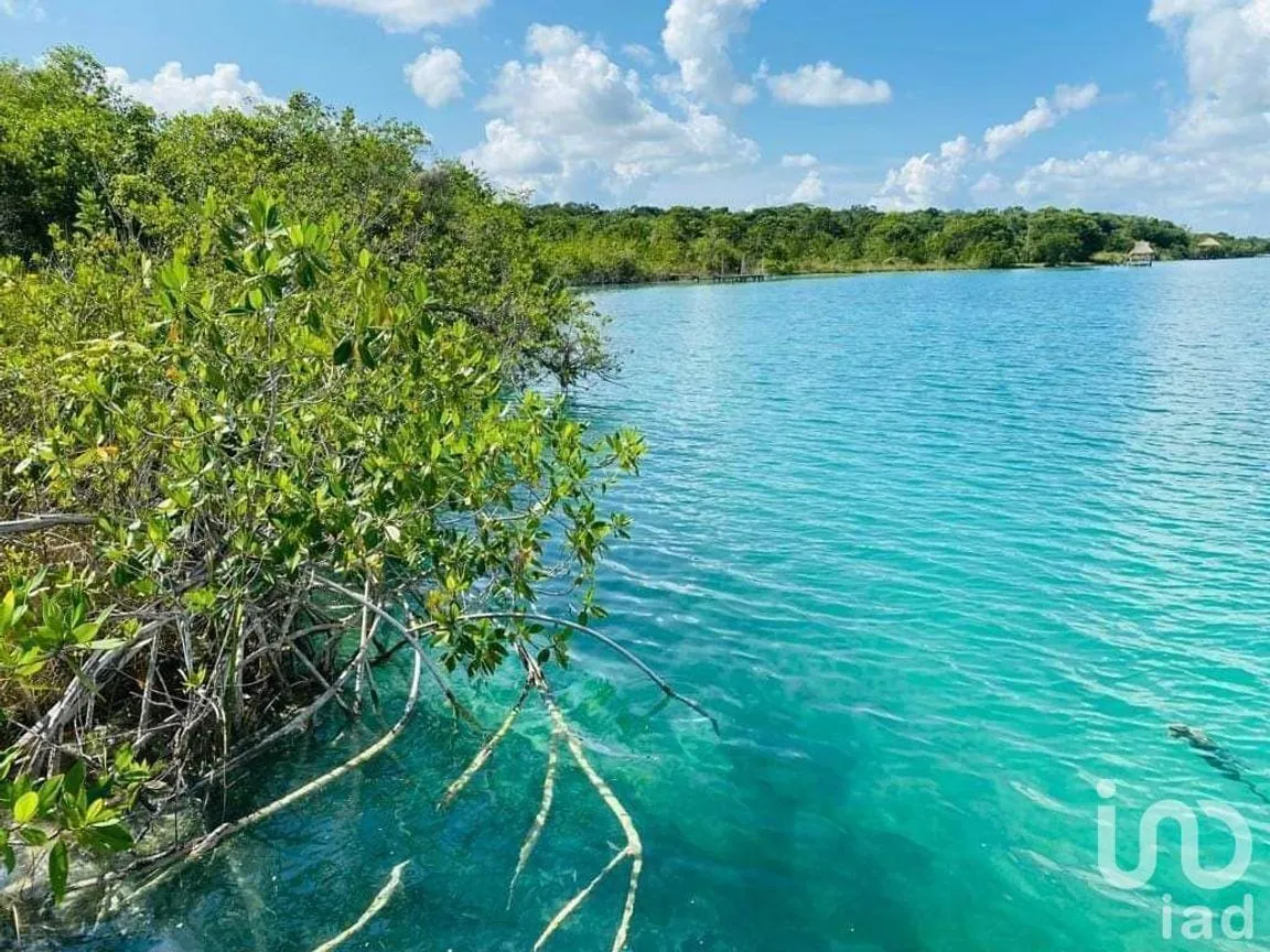 Terreno en Venta en Bacalar, Bacalar, Quintana Roo | NEX-228366 | iad México | Foto 3 de 4