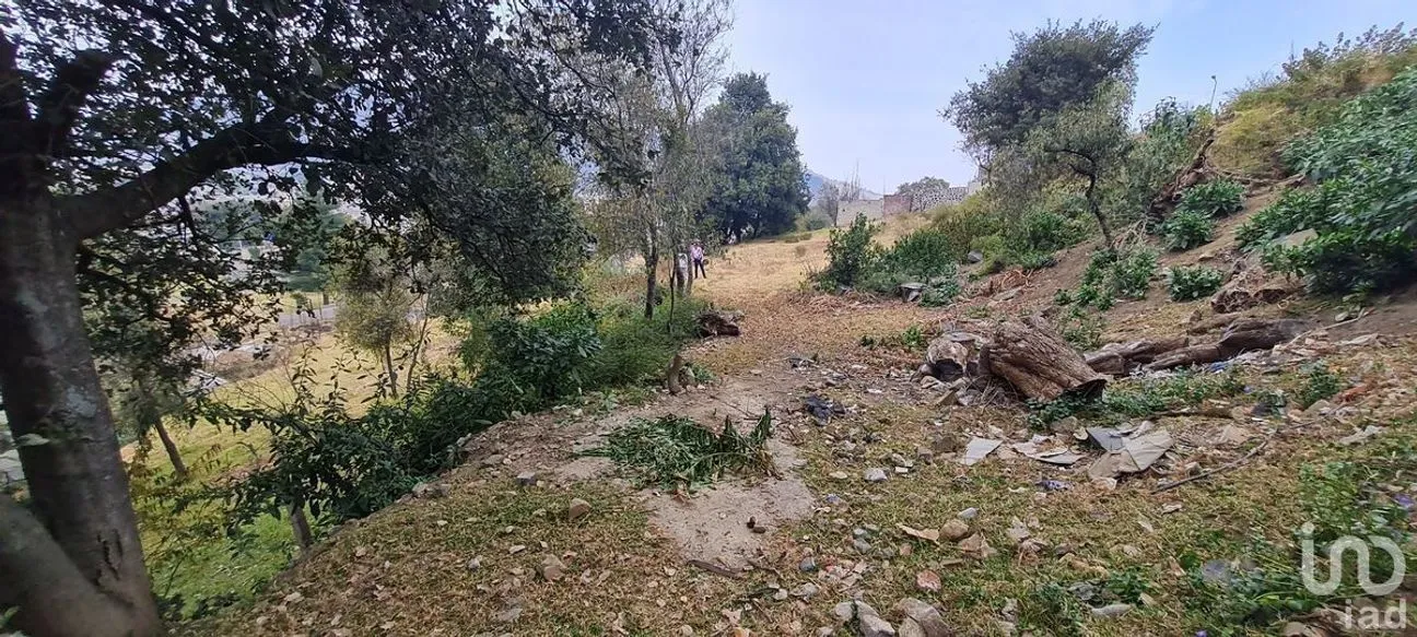 Terreno en Venta en San Miguel Topilejo, Tlalpan, Ciudad de México | NEX-228367 | iad México | Foto 15 de 40