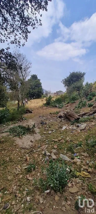 Terreno en Venta en San Miguel Topilejo, Tlalpan, Ciudad de México | NEX-228367 | iad México | Foto 17 de 40