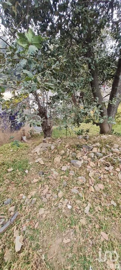 Terreno en Venta en San Miguel Topilejo, Tlalpan, Ciudad de México | NEX-228367 | iad México | Foto 19 de 40