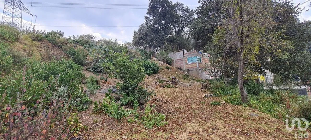 Terreno en Venta en San Miguel Topilejo, Tlalpan, Ciudad de México | NEX-228367 | iad México | Foto 32 de 40