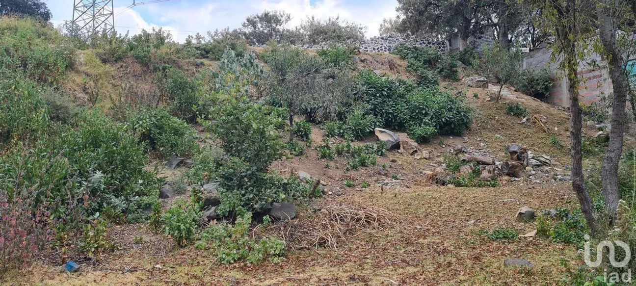 Terreno en Venta en San Miguel Topilejo, Tlalpan, Ciudad de México | NEX-228367 | iad México | Foto 36 de 40
