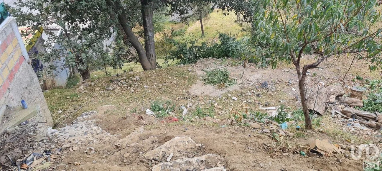 Terreno en Venta en San Miguel Topilejo, Tlalpan, Ciudad de México | NEX-228367 | iad México | Foto 38 de 40