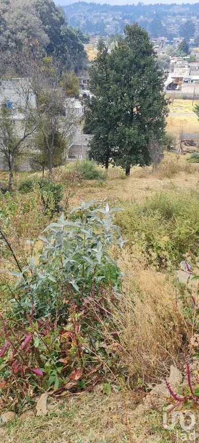 Terreno en Venta en San Miguel Topilejo, Tlalpan, Ciudad de México | NEX-228367 | iad México | Foto 39 de 40