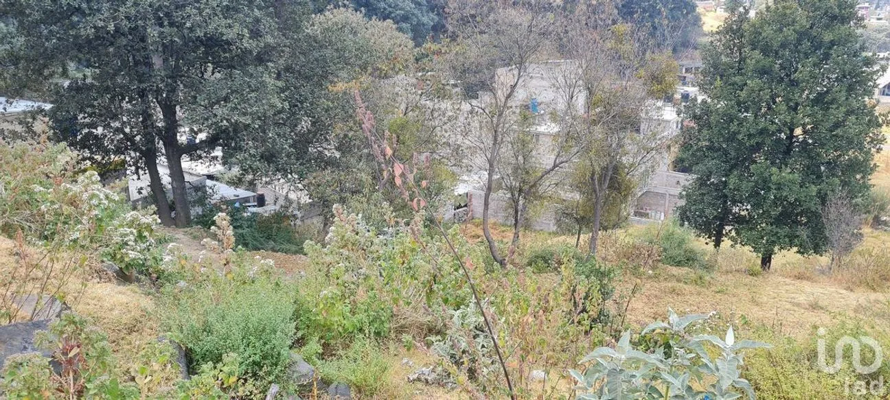Terreno en Venta en San Miguel Topilejo, Tlalpan, Ciudad de México | NEX-228367 | iad México | Foto 40 de 40