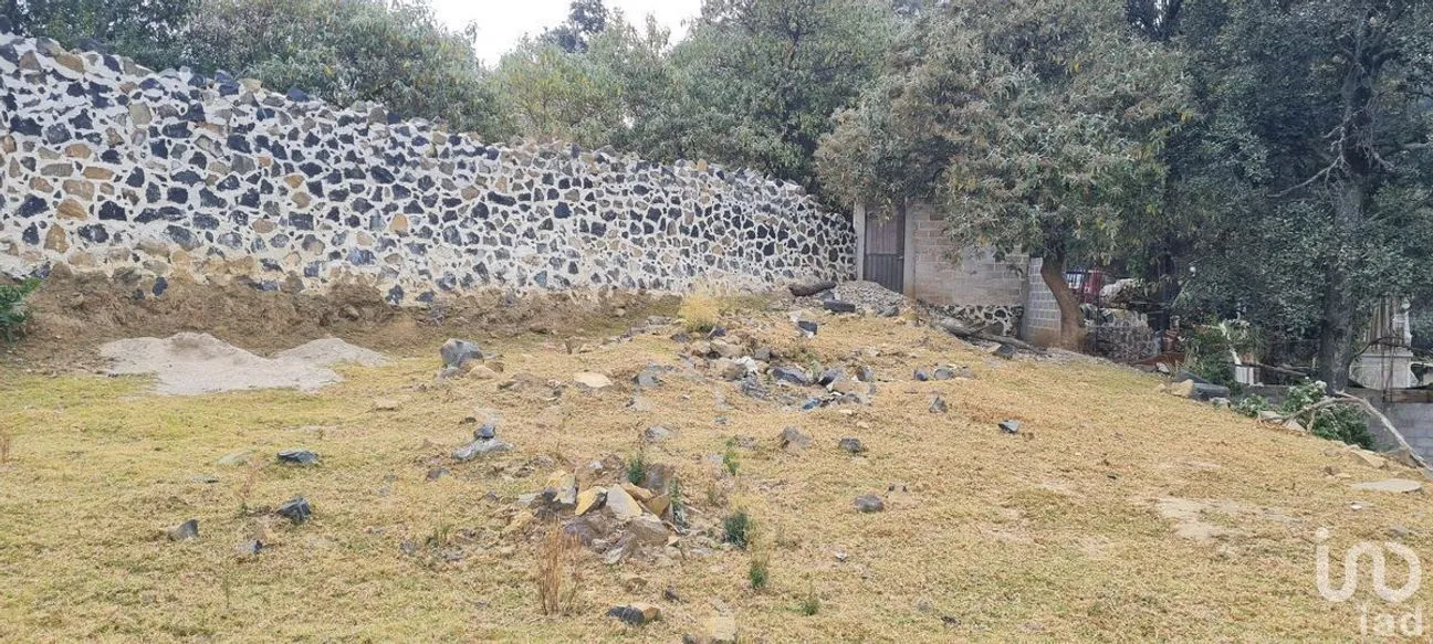 Terreno en Venta en San Miguel Topilejo, Tlalpan, Ciudad de México | NEX-228367 | iad México | Foto 6 de 40