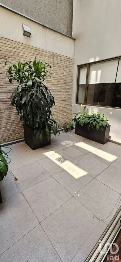Departamento en Venta en Del Valle Norte, Benito Juárez, Ciudad de México | NEX-228482 | iad México | Foto 7 de 43