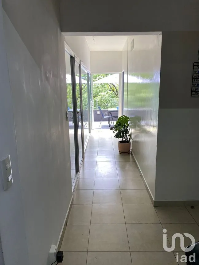 Oficina en Renta en Polanco IV Sección, Miguel Hidalgo, Ciudad de México | NEX-232859 | iad México | Foto 5 de 16