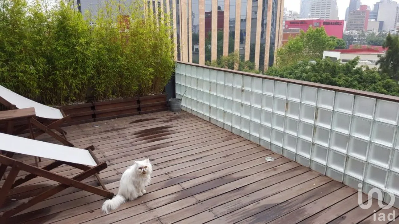 Departamento en Venta en Roma Norte, Cuauhtémoc, Ciudad de México | NEX-275095 | iad México | Foto 9 de 33