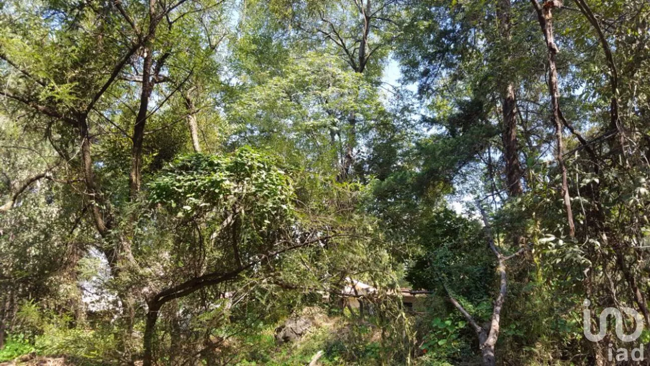 Terreno en Venta en San Lucas Xochimanca, Xochimilco, Ciudad de México | NEX-275097 | iad México | Foto 12 de 25