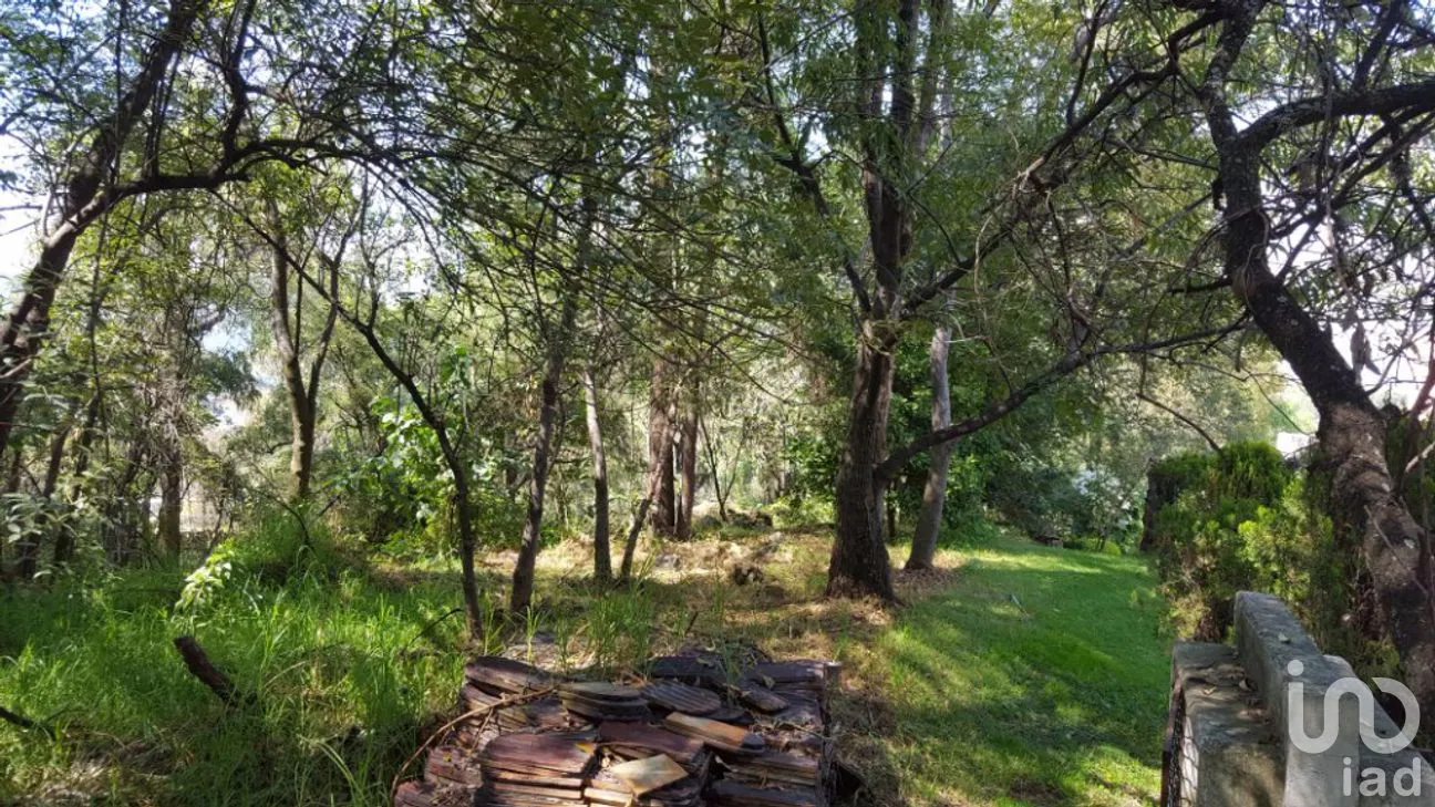 Terreno en Venta en San Lucas Xochimanca, Xochimilco, Ciudad de México | NEX-275097 | iad México | Foto 13 de 25