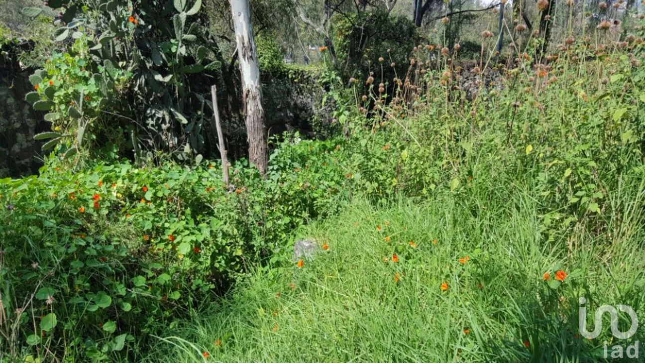 Terreno en Venta en San Lucas Xochimanca, Xochimilco, Ciudad de México | NEX-275097 | iad México | Foto 15 de 25