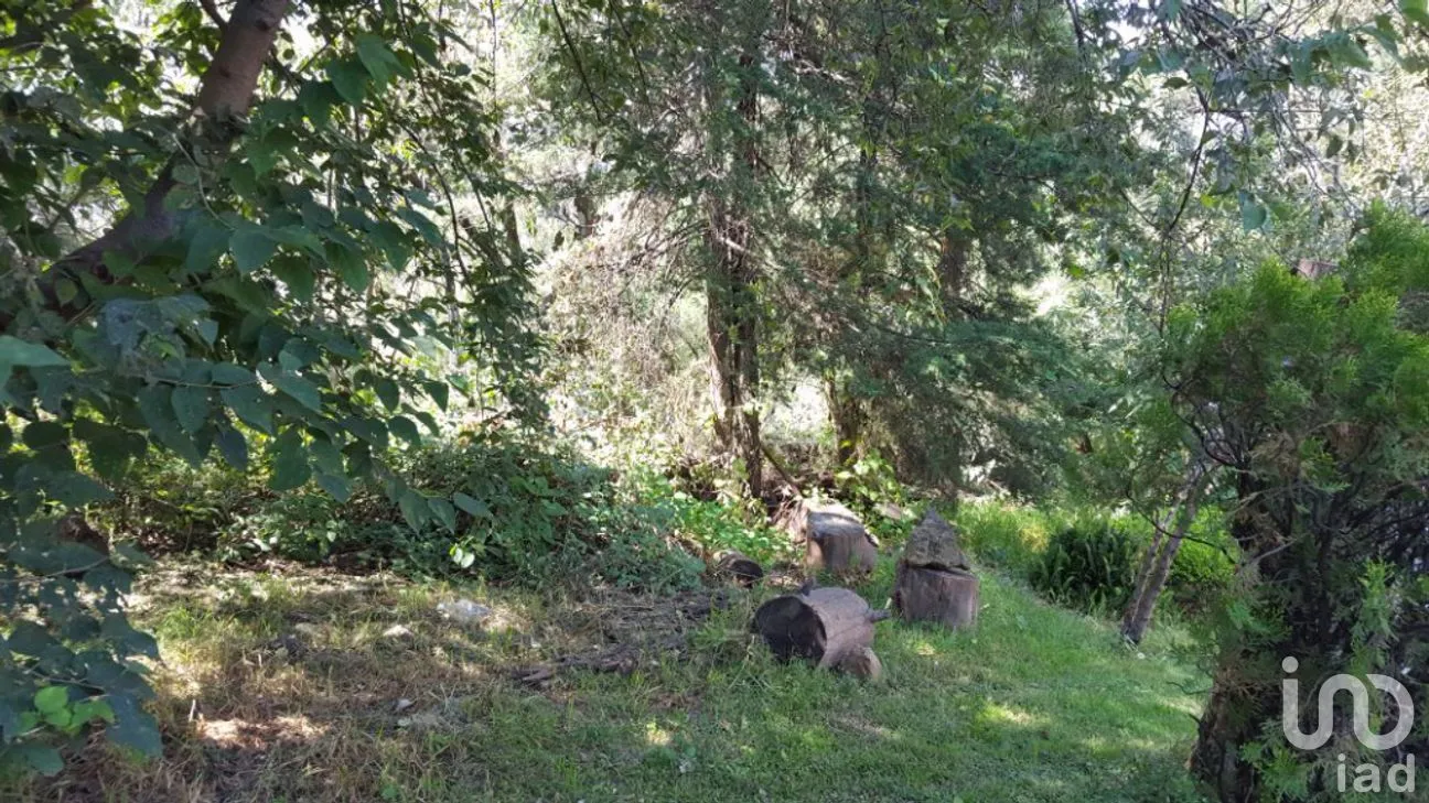 Terreno en Venta en San Lucas Xochimanca, Xochimilco, Ciudad de México | NEX-275097 | iad México | Foto 16 de 25