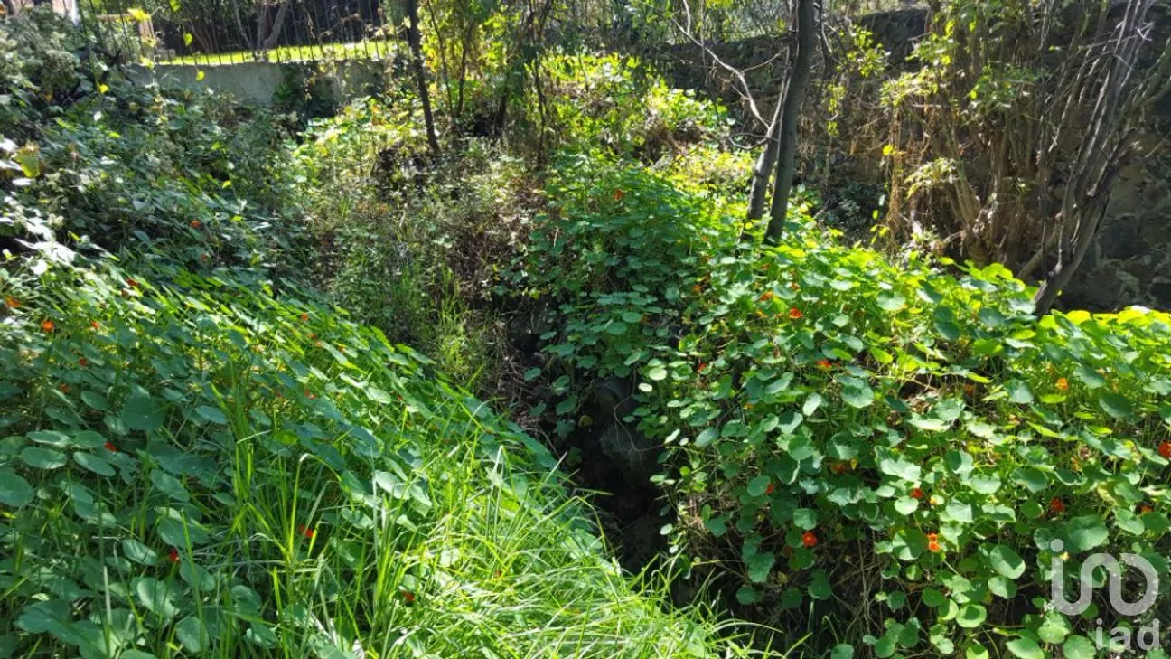 Terreno en Venta en San Lucas Xochimanca, Xochimilco, Ciudad de México | NEX-275097 | iad México | Foto 18 de 25