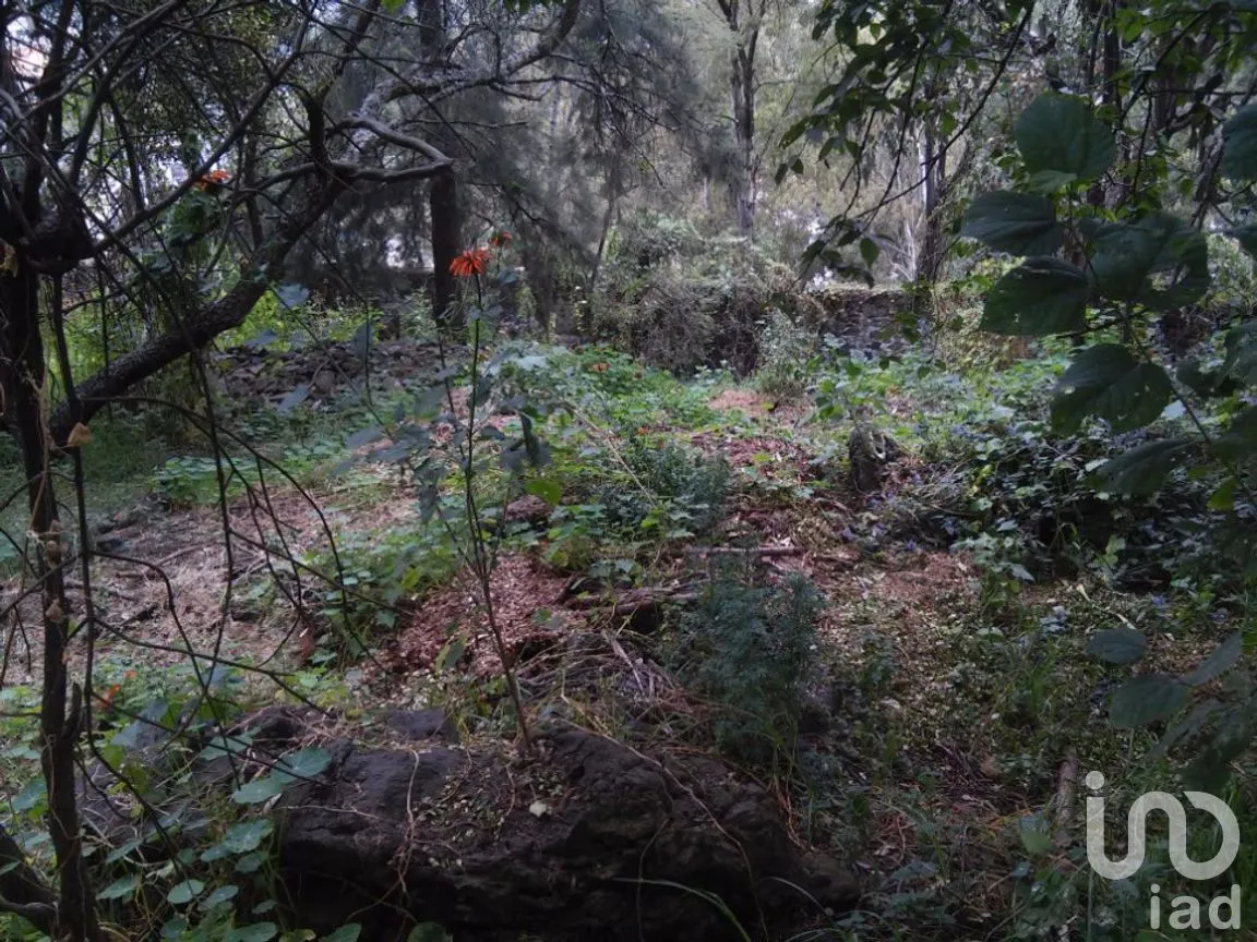 Terreno en Venta en San Lucas Xochimanca, Xochimilco, Ciudad de México | NEX-275097 | iad México | Foto 4 de 25