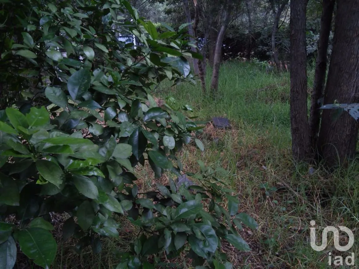 Terreno en Venta en San Lucas Xochimanca, Xochimilco, Ciudad de México | NEX-275097 | iad México | Foto 5 de 25