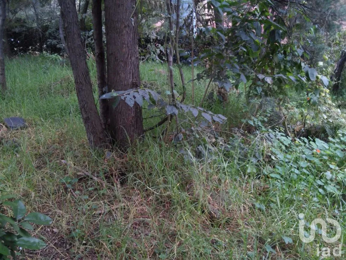 Terreno en Venta en San Lucas Xochimanca, Xochimilco, Ciudad de México | NEX-275097 | iad México | Foto 7 de 25