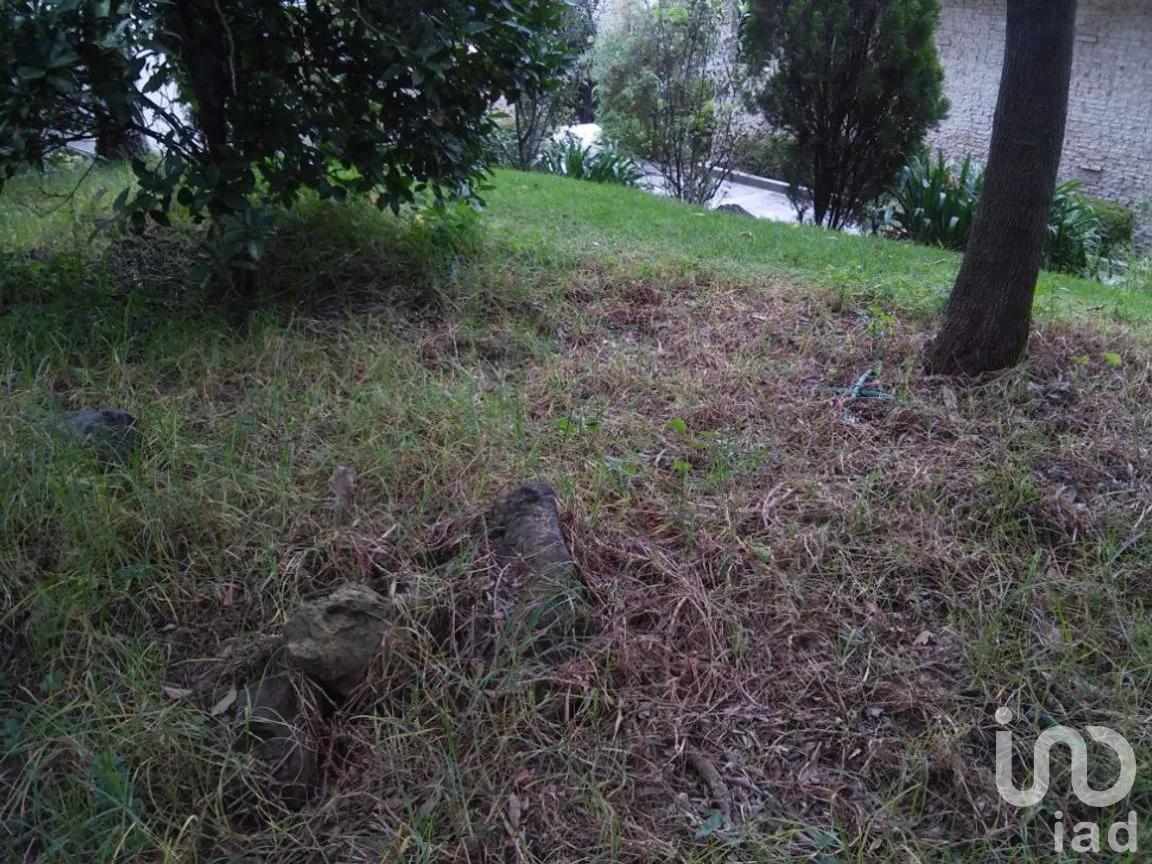 Terreno en Venta en San Lucas Xochimanca, Xochimilco, Ciudad de México | NEX-275097 | iad México | Foto 8 de 25