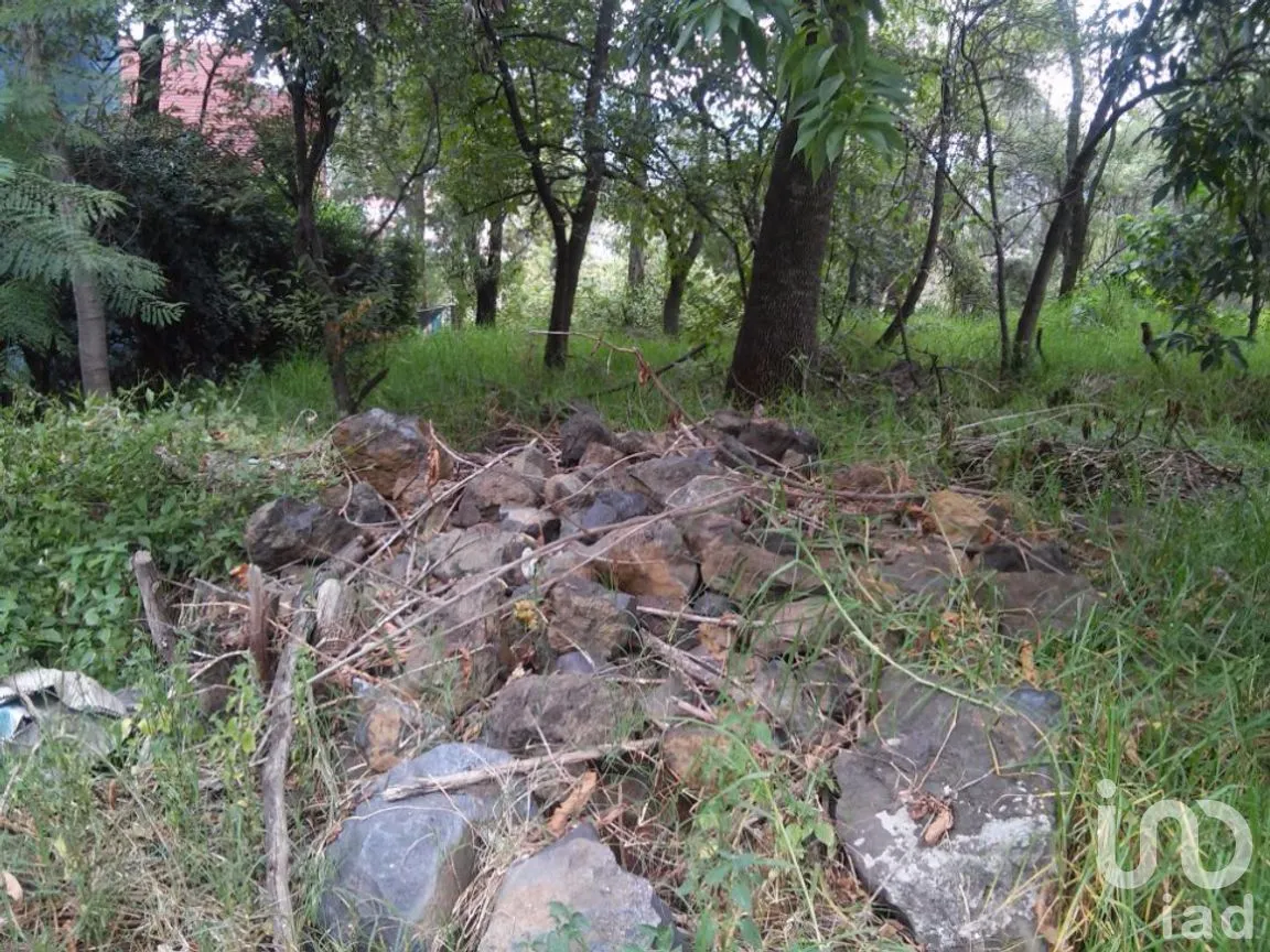 Terreno en Venta en San Lucas Xochimanca, Xochimilco, Ciudad de México | NEX-275097 | iad México | Foto 9 de 25