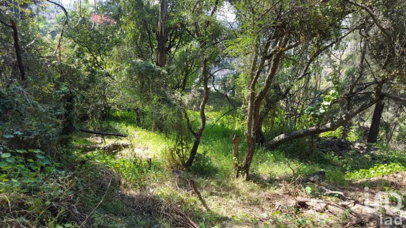 Terreno en Venta en San Lucas Xochimanca, Xochimilco, Ciudad de México | NEX-275097 | iad México | Foto 10 de 25