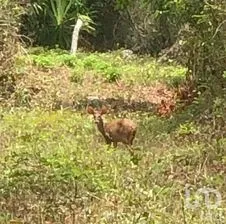 NEX-275111 - Terreno en Venta.