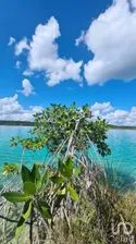 NEX-275115 - Terreno en Venta en Bacalar, CP 77930, Quintana Roo.
