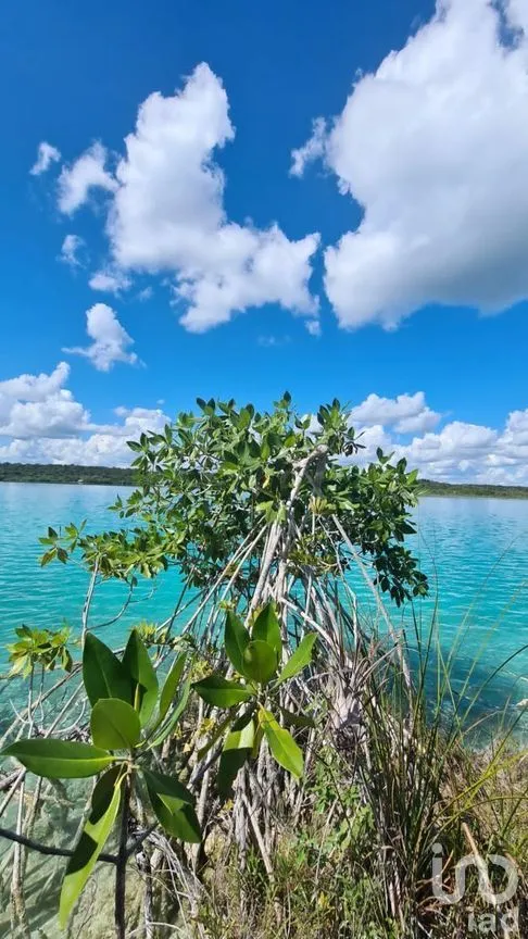 Terreno en Venta en Bacalar, Bacalar, Quintana Roo | NEX-275116 | iad México | Foto 2 de 4