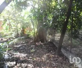 NEX-275124 - Terreno en Venta en Morelos, CP 62616, Morelos.