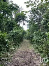 NEX-275139 - Terreno en Venta en Tulum Centro, CP 77760, Quintana Roo.