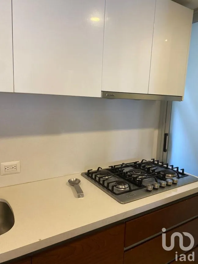 Departamento en Venta en Santa Cruz Atoyac, Benito Juárez, Ciudad de México | NEX-275142 | iad México | Foto 50 de 51