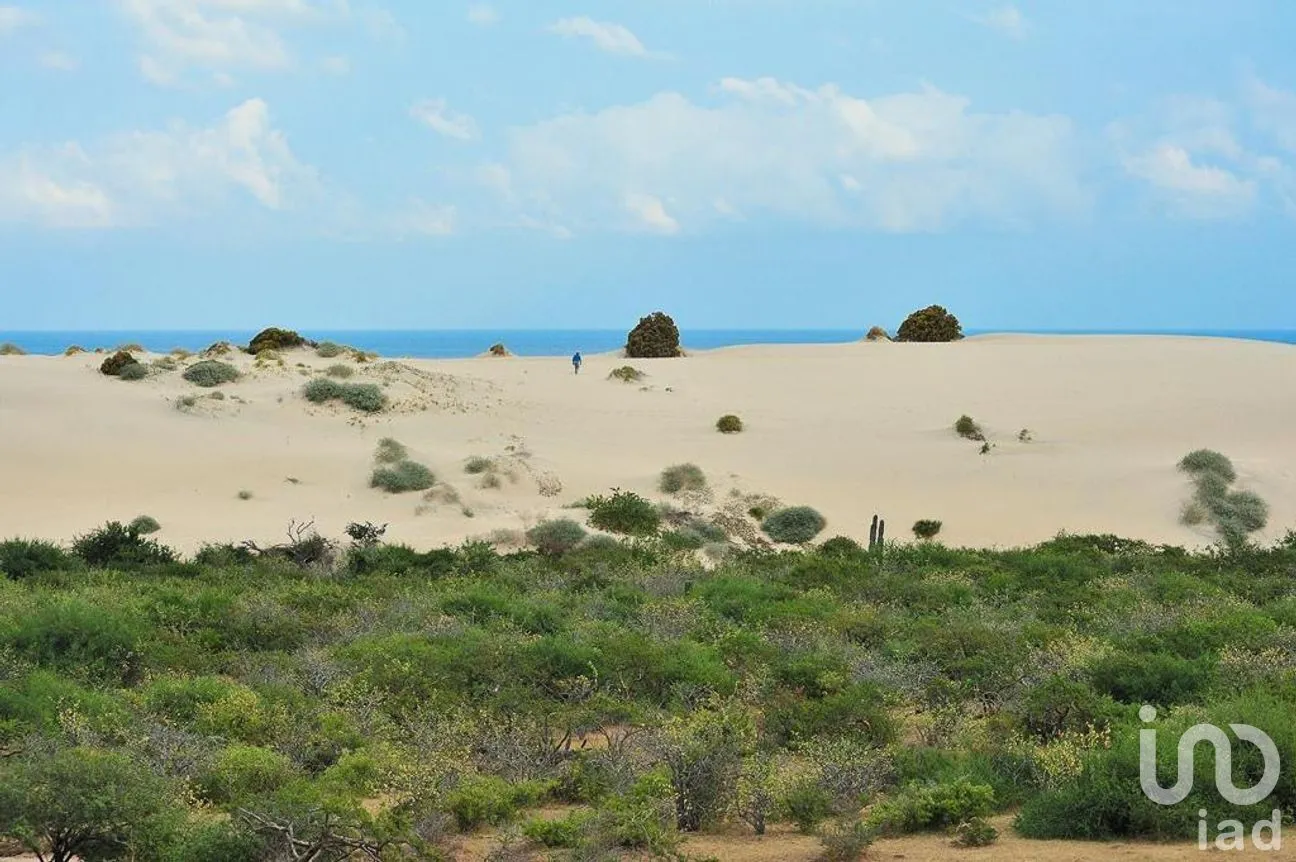 Terreno en Venta en Punta Arena, Los Cabos, Baja California Sur | NEX-275144 | iad México | Foto 12 de 14