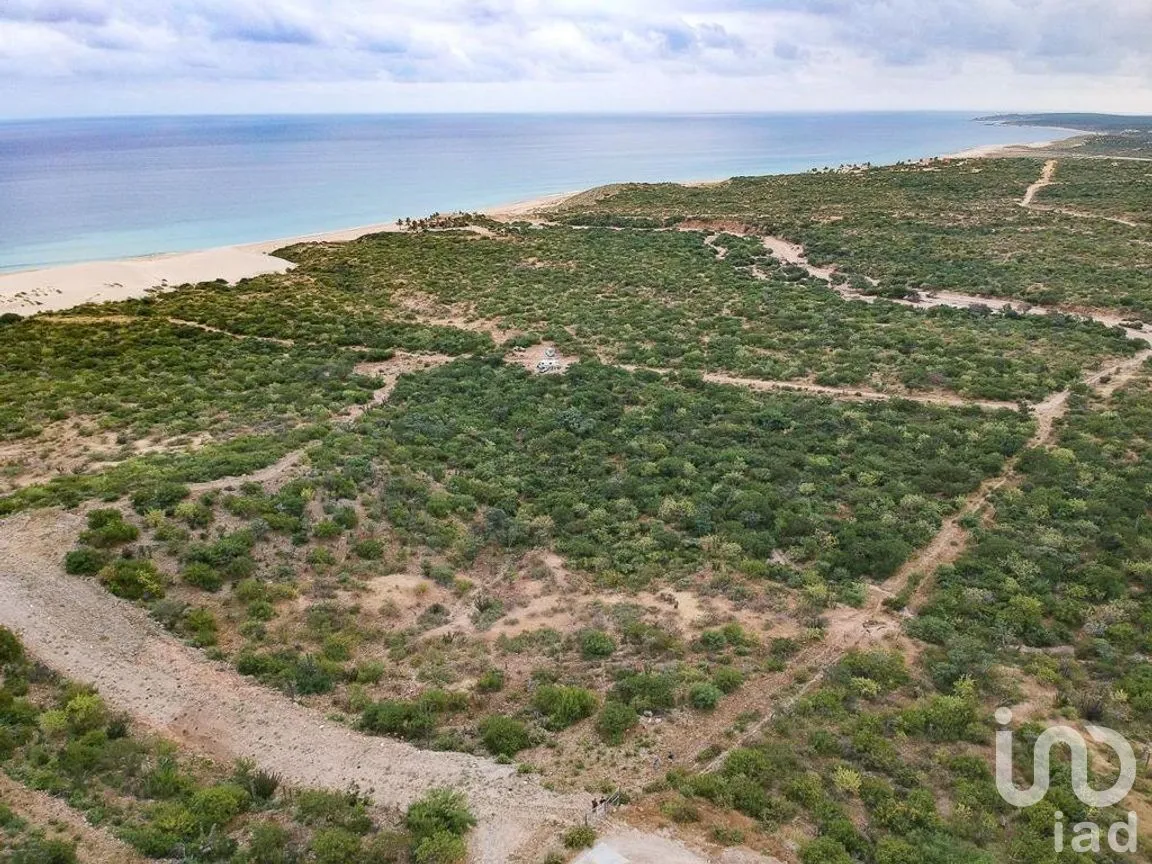 Terreno en Venta en Punta Arena, Los Cabos, Baja California Sur | NEX-275144 | iad México | Foto 3 de 14