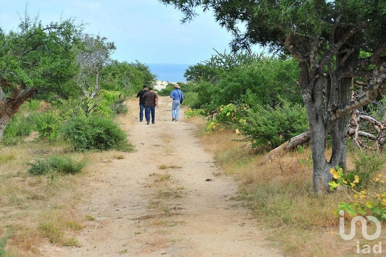 Terreno en Venta en Punta Arena, Los Cabos, Baja California Sur | NEX-275144 | iad México | Foto 7 de 14