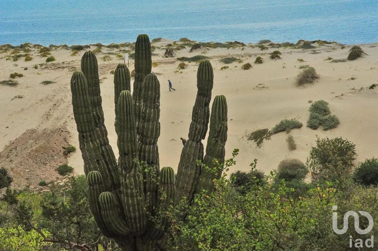 Terreno en Venta en Punta Arena, Los Cabos, Baja California Sur | NEX-275144 | iad México | Foto 8 de 14