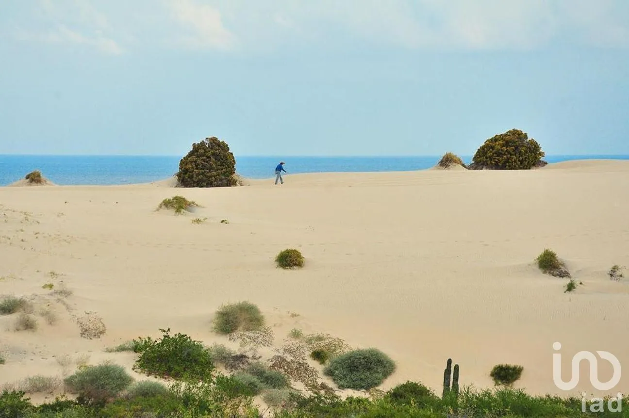 Terreno en Venta en Punta Arena, Los Cabos, Baja California Sur | NEX-275144 | iad México | Foto 10 de 14