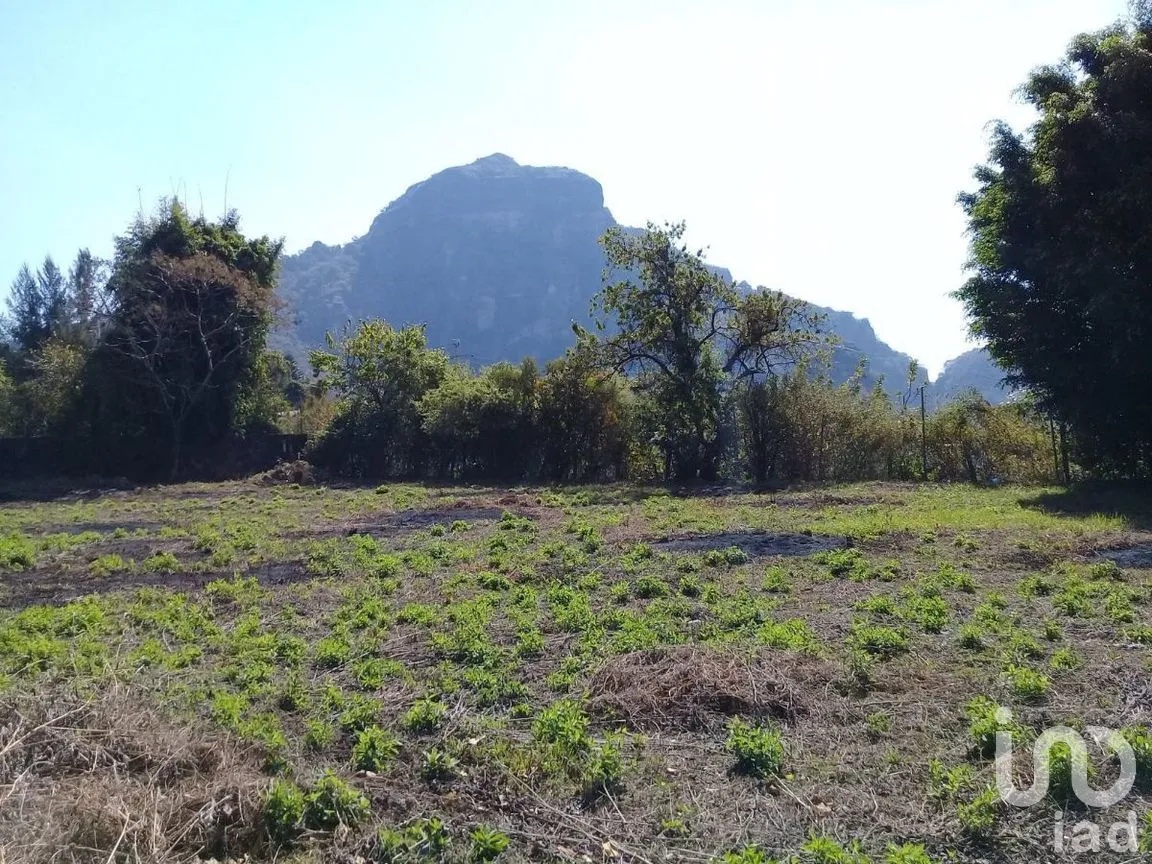 Terreno en Venta en Huachinantilla, Tepoztlán, Morelos | NEX-275146 | iad México | Foto 3 de 9