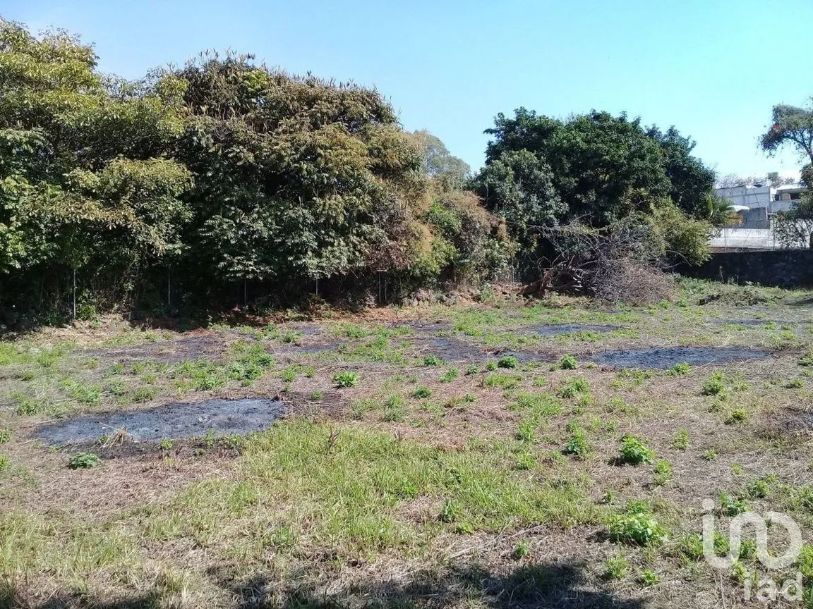 Terreno en Venta en Huachinantilla, Tepoztlán, Morelos | NEX-275146 | iad México | Foto 4 de 9