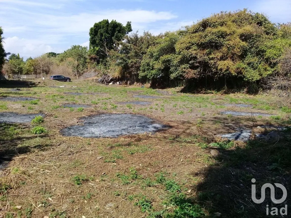 Terreno en Venta en Huachinantilla, Tepoztlán, Morelos | NEX-275146 | iad México | Foto 5 de 9